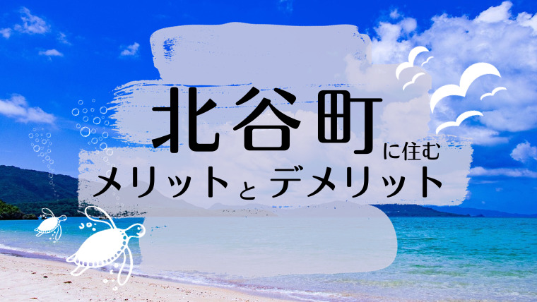 北谷町のメリットデメリット